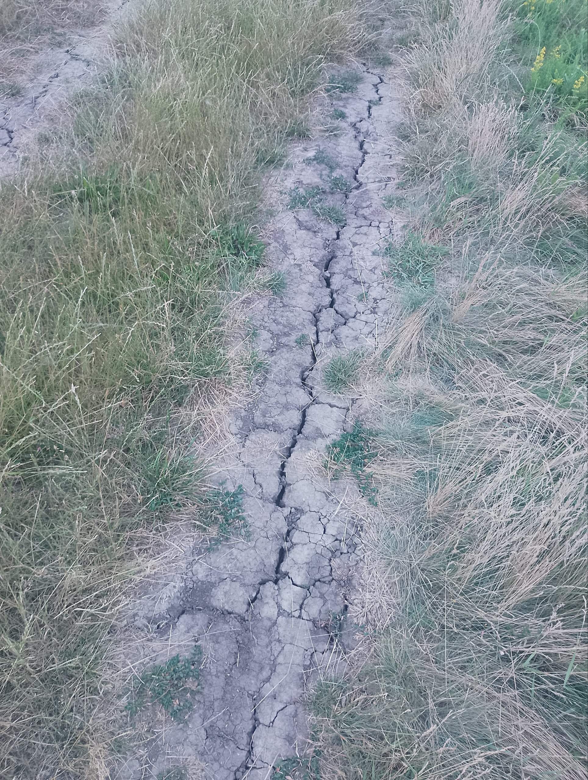 Хмаровчанські літосферні плити